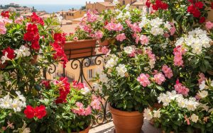 Balcon fleuri avec des dipladenias en pot, couleurs rose, rouge et blanc sous le soleil.